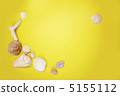 Seashell 5155112