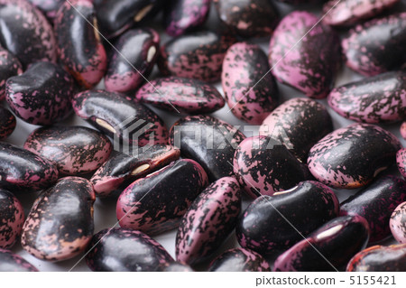 Purple flower bean 5155421