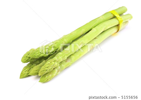 綠蘆筍 綠蘆筍 5155656