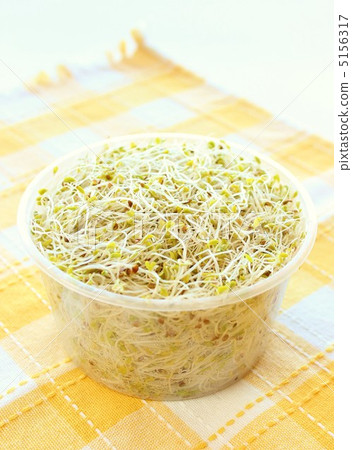 Alfalfa Alfalfa 5156317