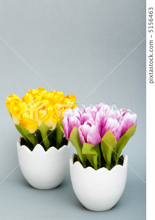 Colorful tulip flowers in the white pot Colorful tulip flowers in the white pot 5156463