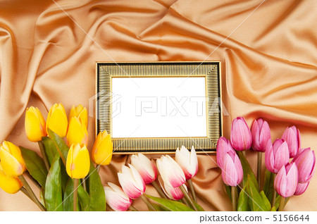 Picture frames and tulips flowers on satin Picture frames and tulips flowers on satin 5156644