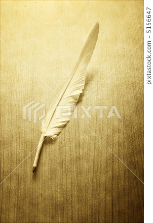 Writing feather on the background Writing feather on the background 5156647