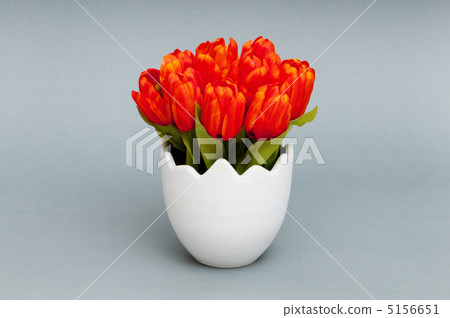 Colorful tulip flowers in the white pot Colorful tulip flowers in the white pot 5156651