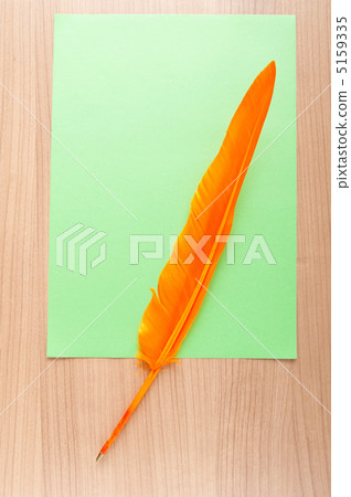 Paper and feather in vintage writing concept Paper and feather in vintage writing concept 5159335