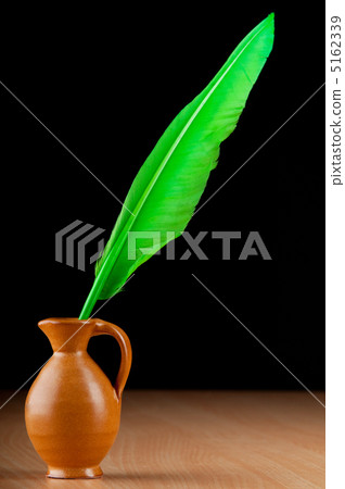 Writing feather against gradient background Writing feather against gradient background 5162339