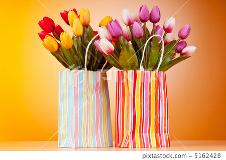 Tulips in the bag against gradient background 5162428