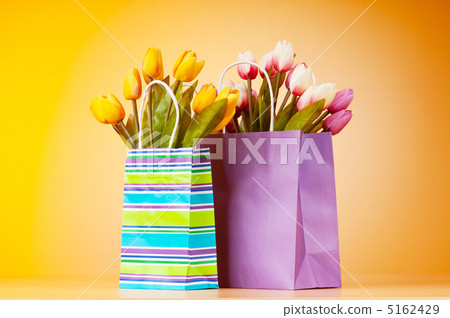 Tulips in the bag against gradient background 5162429