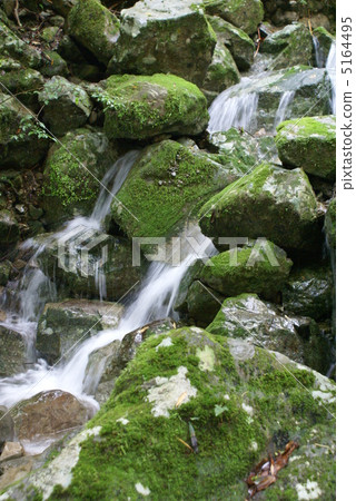 Tolingo Falls 1 Tolingo Falls 1 5164495