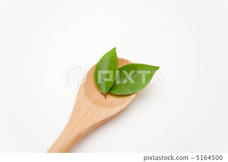 天然食物的網 5164500