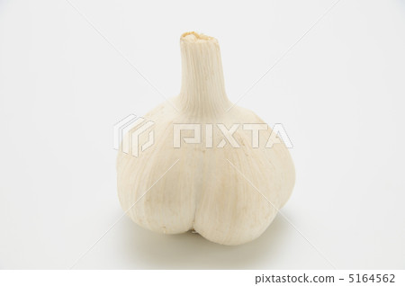 大蒜 5164562