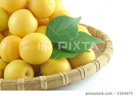 成熟李子的果實 成熟李子的果實 5164875