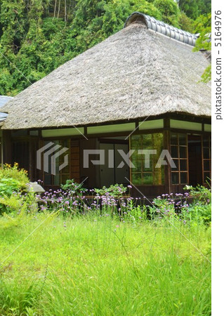 一個解凍的聖徒 5164976