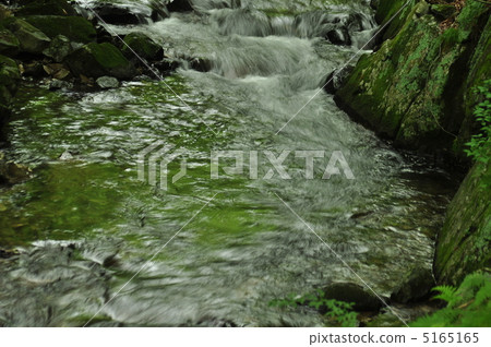 Chestnut valley Chestnut valley 5165165