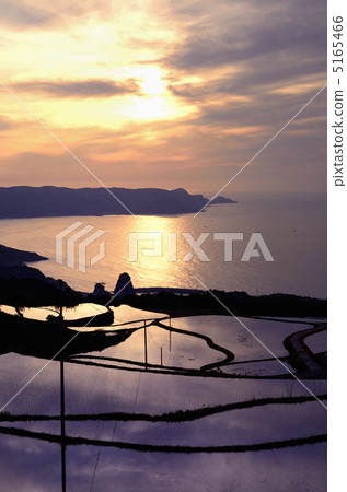 Eastern rear field rice terraces with reflected blue sky Eastern rear field rice terraces with reflected blue sky 5165466