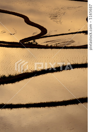 稻田和土坎風景 5165687