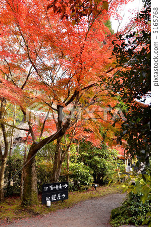 秋天湯布院 秋天湯布院 5165768