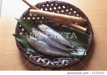 sardine 5172521