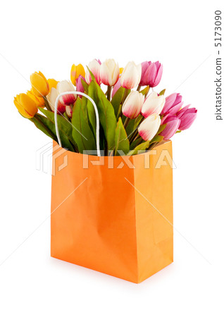 Tulips in the bag isolated on white Tulips in the bag isolated on white 5173090