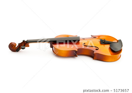 Violin isolated on the white 5173657