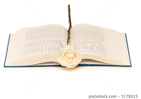 White rose on blue book isolated on white 5178015