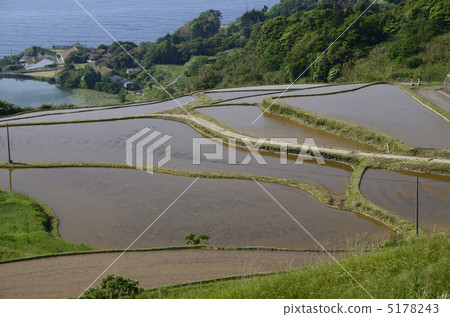 山口Toho田和稻田的曲線美 山口Toho田和稻田的曲線美 5178243