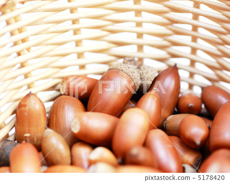 Acorn in a basket Acorn in a basket 5178420
