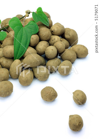 Mukago Mukago 5179071