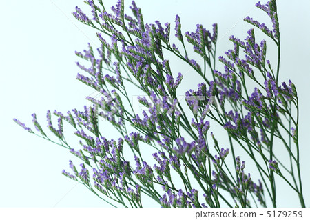 Hybrid Statis Hybrid Statis 5179259