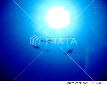 Diver swim underwater 5179879