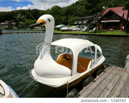 Swan boat Swan boat 5180585