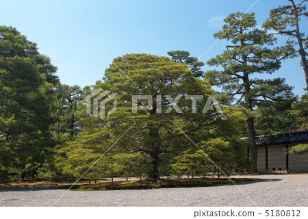 京都大宮皇宮花園 5180812