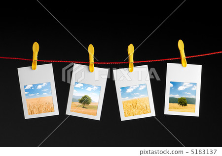 Picture frames with nature photos 5183137