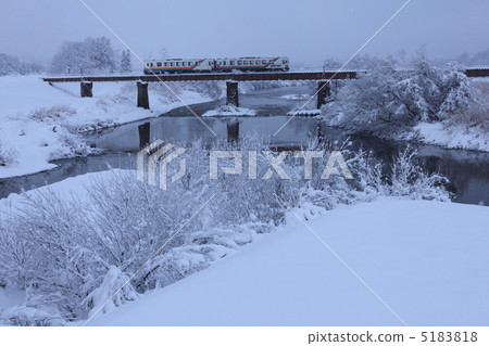 Winter Flower Nagai Line Winter Flower Nagai Line 5183818