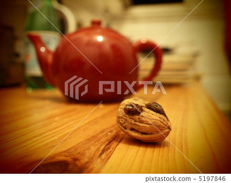 Walnut Walnut 5197846