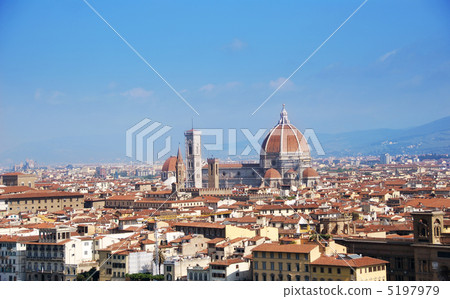 Florence Florence 5197979