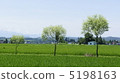 夏季農村風光 5198163