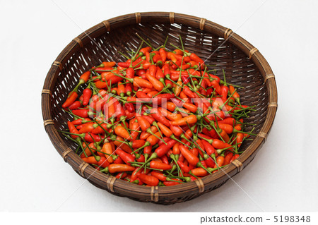 Island island 5198348