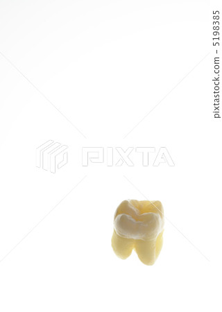 Tooth 5198385