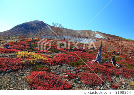 Autumn leaves of Kusatsu Shirane Volcano 5198564