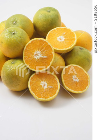 Valencia Orange 5198656