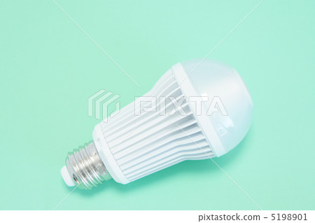 LED Light Bulb 5198901