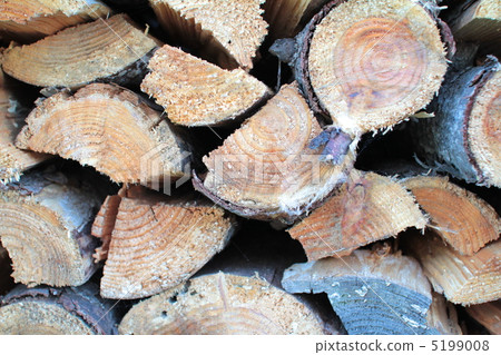 Split wood for stove fuel Wood for wood stoves 5199008