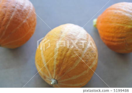 Red peel chestnut pumpkin Red peel chestnut pumpkin 5199486