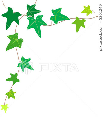 Ivy Frame Ivy Frame 5201249