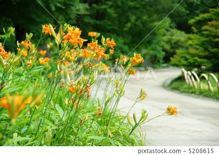 7月Yabukanzou·Lilyu 07 5208615