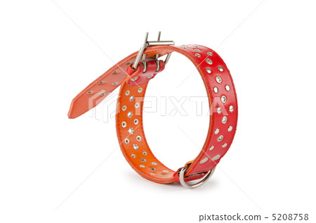 Dog collar isolated on the white background Dog collar isolated on the white background 5208758