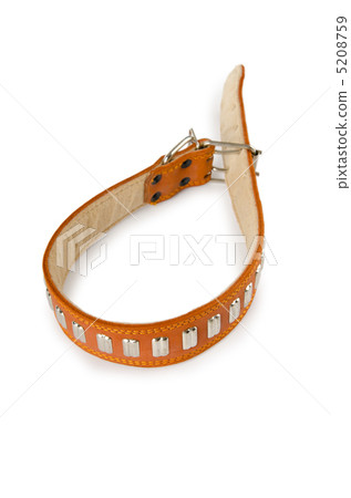 Dog collar isolated on the white background Dog collar isolated on the white background 5208759
