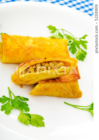 Patties with meat in the plate Patties with meat in the plate 5208909