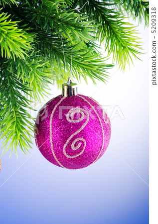 Baubles on christmas tree in celebration concept Baubles on christmas tree in celebration concept 5209318